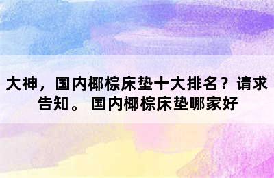 大神，国内椰棕床垫十大排名？请求告知。 国内椰棕床垫哪家好